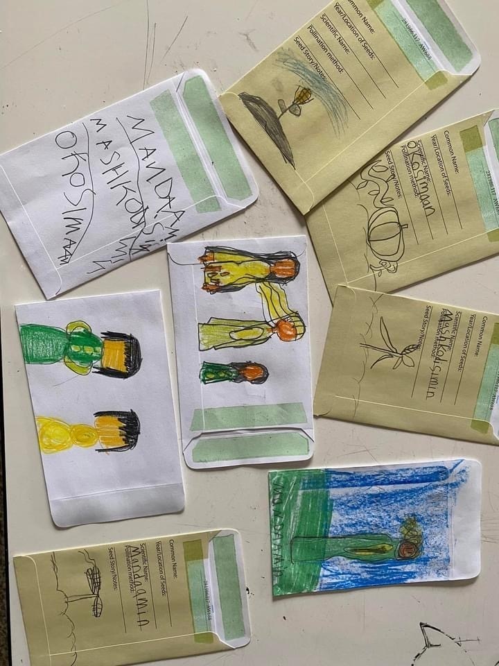 Decorated seed in packets